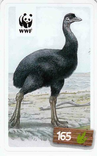 Rewe wwf tier - wwf, abenteuer