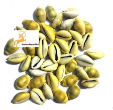 21er Set natürliche gelbe