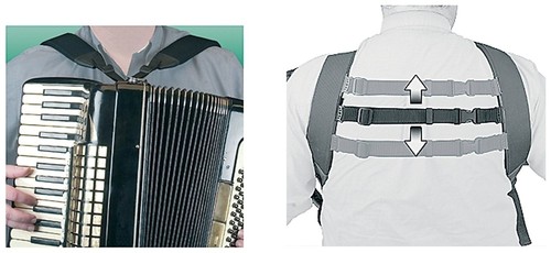 Trageriemen deluxe akkordeon - trageriemen,