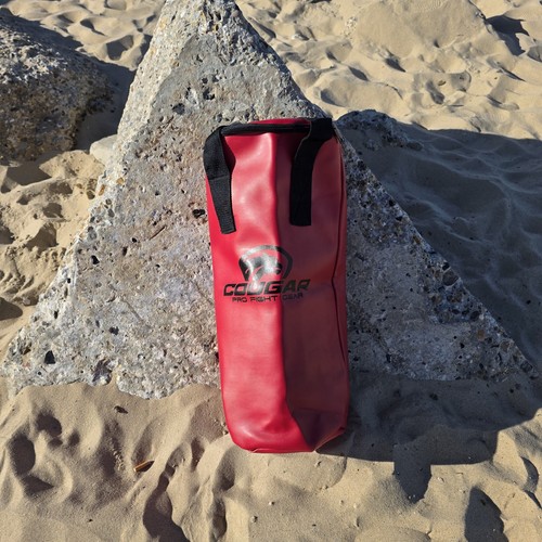 Cougar pro fight - fight, sand