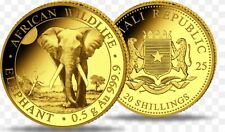 0,5g Gold African Wildlife Somalia Elefant 2025