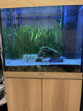 Eingefahrenes Aquarium Juwel Lido 120 mit Helia Lux Spectrum und Smart Control