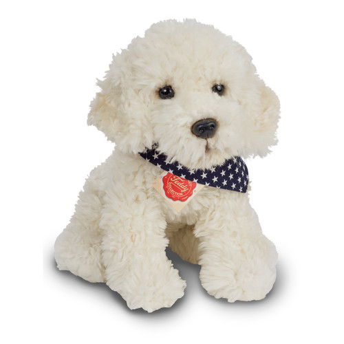 Teddy hermann labradoodle hund - hermann,