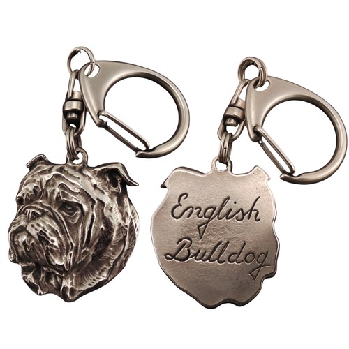 Englische bulldogge bulldog i - englische,