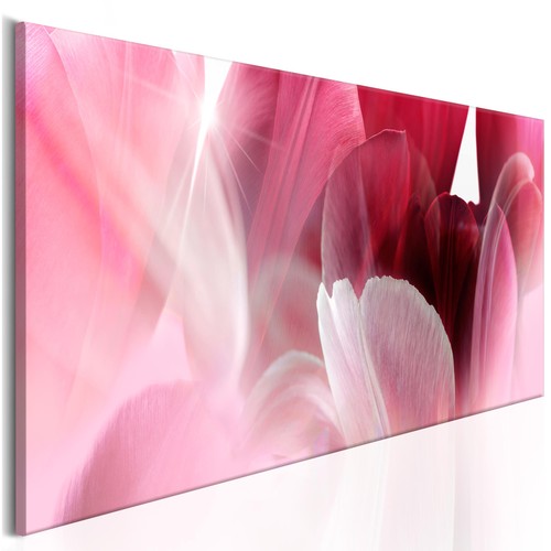 Blumen orchidee lilien vlies - blumen,