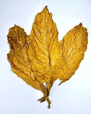 Virginia Gold Tabakblätter