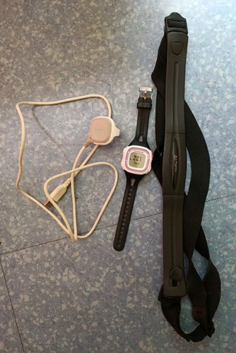 Garmin forerunner - forerunner, 10