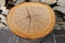 Kirschholz Kirschholzstamm # 53 cm hoch#drechseln Baumstamm Kirschbaum Pflaume 3