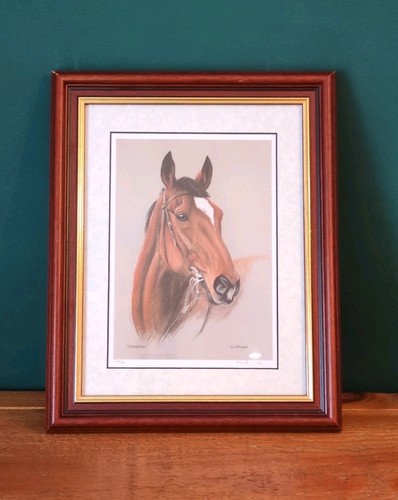 Istabraq equine portrait - istabraq,