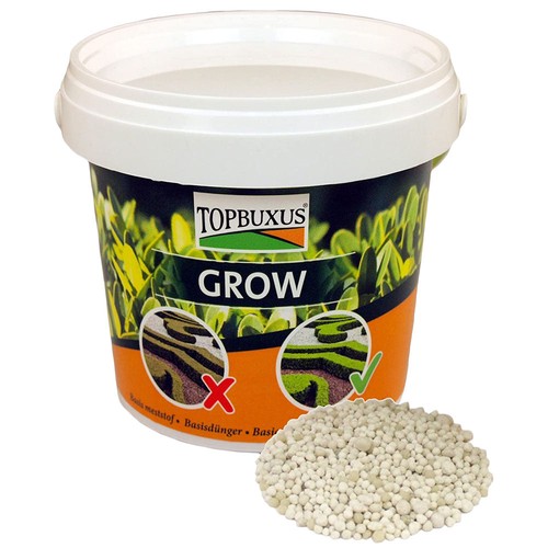 Topbuxus grow schnell - grow,,