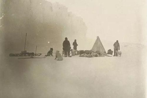 Britische antarktisexpedition - britische,