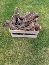 Grillholz, Rebknorzen