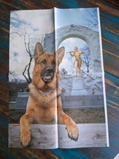 Kommissar Rex 4Seiten Poster