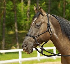 Knotenhalfter Ringe  Riding