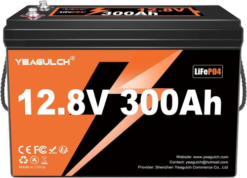12v 100ah 300ah lifepo4 - 100ah,