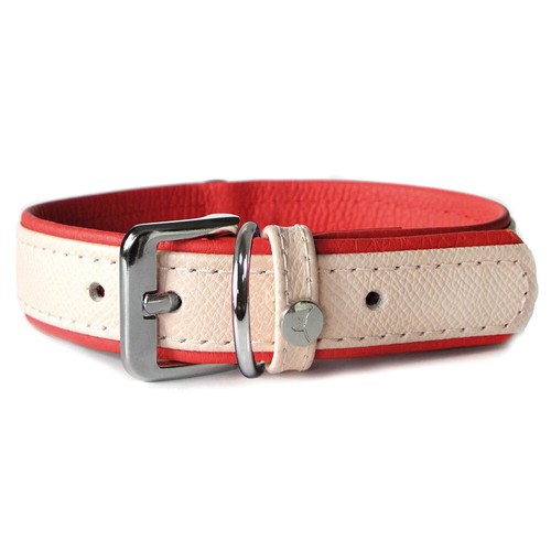 Das lederband hunde - das,