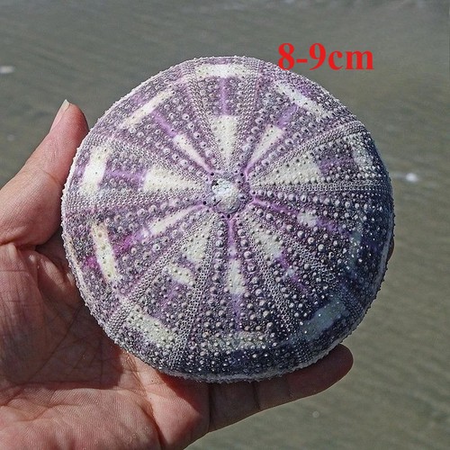 1pcs new natural green - new,