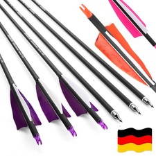 12X 30" Carbonpfeile