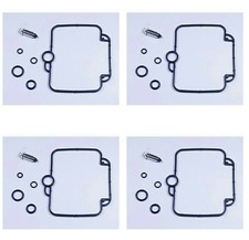 Vergaser Reparatur Satz