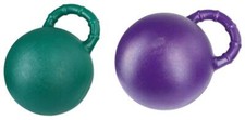 Pferdeball Spielball ball