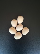 Haba "Land Eier", Kaufladen