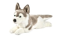 Anima 1646 Husky 42cm Soft Toy