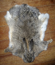 großes Hasenfell, Fell, braun 60 x 38 cm, mit Gesicht und Vorderläufen