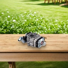 Vergaser für BGBC 431AS