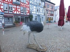 Strauß lebensgroß Deko Figur