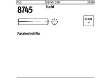 Reyher Passkerbstift ISO 8745