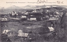 Kiesewald im Riesengebirge -