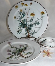 Villeroy und boch - und, botanica