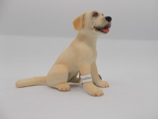 Hund Hunde = 65434 Labrador