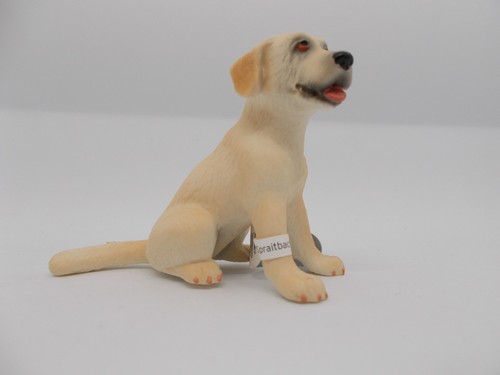 Hund hunde 65434 labrador - hund, =
