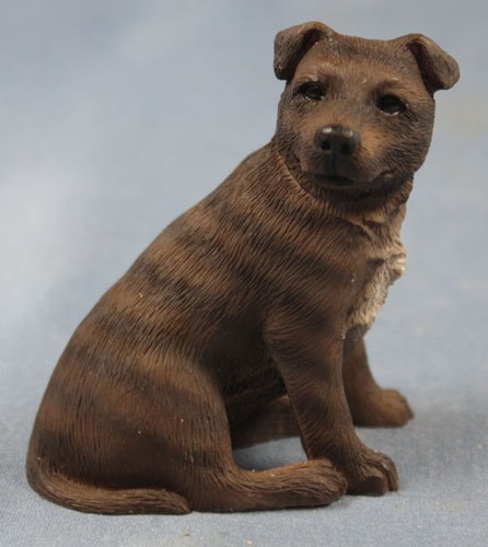 Staffordshire bullterrier - ,
