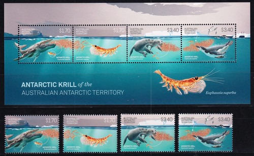 Australien antarktis antarctic - australien,