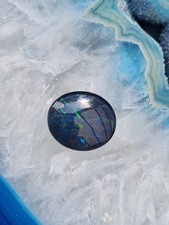 Schöne große Australische