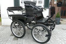 Sondermodell LEO Exklusiv Universal Marathonwagen Wagonette Trainingskutsche