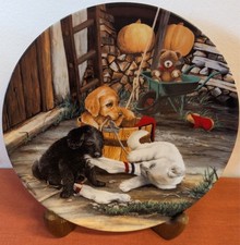 Sammelteller aus der Serie