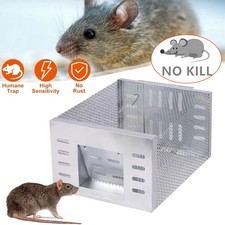 Mausefalle Rattenfalle
