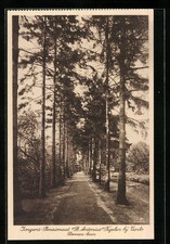 Tegelen by Venlo, Jongens-Pensionaat St. Antonius, Ansichtskarte 