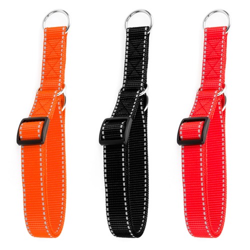 Reflektor dressurhalsband mit - reflektor,