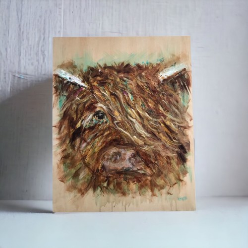 Highland cow namens george - highland,