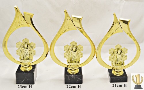 Ski langlauf trophäe - ski, pokal