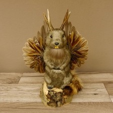 Wolpertinger Murmel Präparat