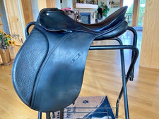 Gorgeous Black Passier Whitman