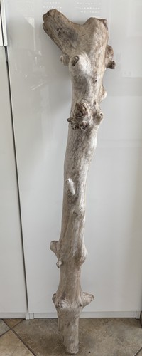 Treibholz xxl - treibholz/,