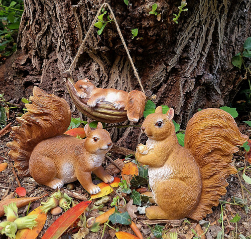 Eichhörnchen sitzend od - eichhörnchen,