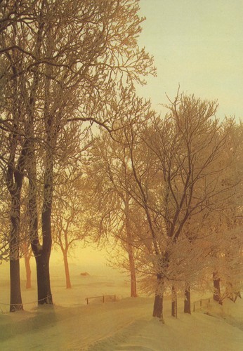 Ddr postkarte winterlandschaft - ddr,