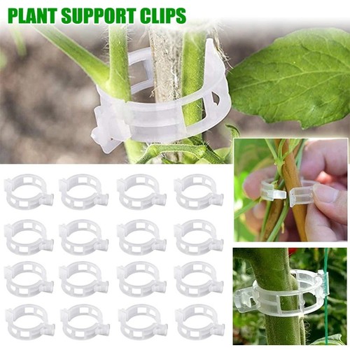 100 stück pflanzenclips - stück,